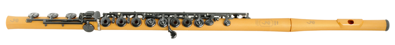 newvoice-b-0.png